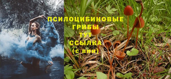 прущая мука Нефтегорск