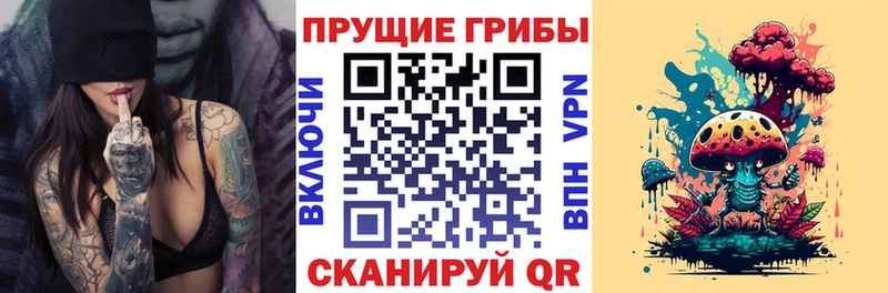 купить наркотик  Шелехов  Галлюциногенные грибы прущие грибы 